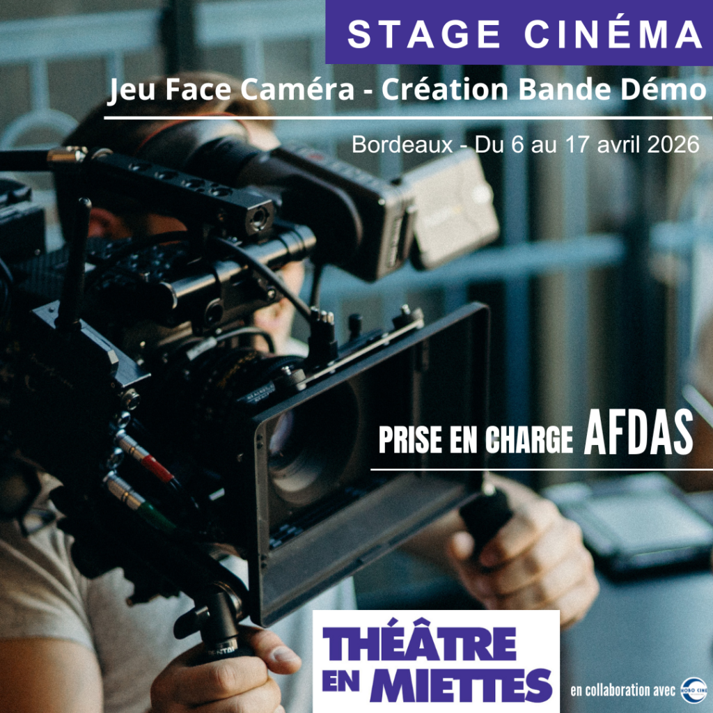 stage cinéma bordeaux